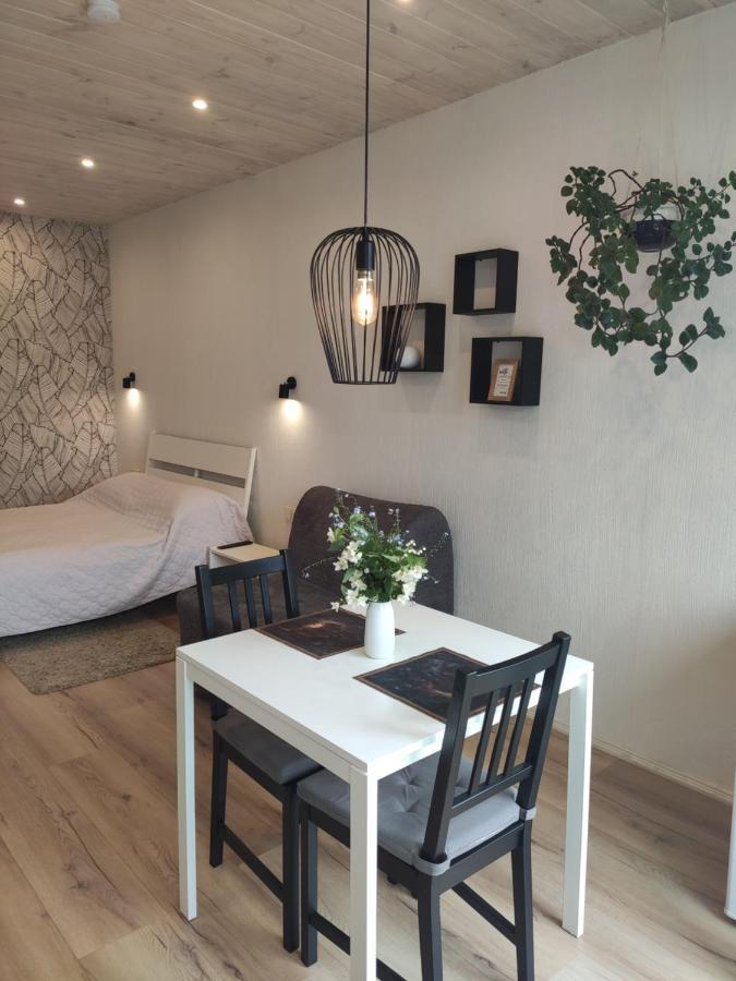 Family House Hotel ดรูซกินินไก ภายนอก รูปภาพ