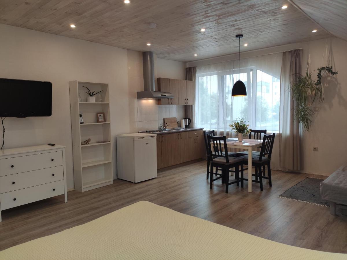 Family House Hotel ดรูซกินินไก ภายนอก รูปภาพ